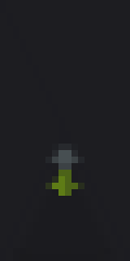 Wither rose flower from mobs killed by wither