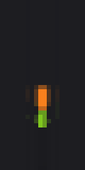 Orange tulip flower