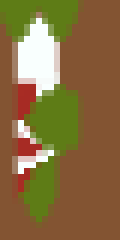 Holiday Stocking