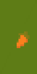 Carrot for rabbits/bunnies