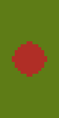 BANGLADESH BANNER