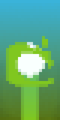Snow Drop