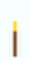 the torch