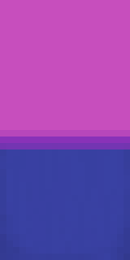 BI FLAG