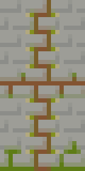 vines