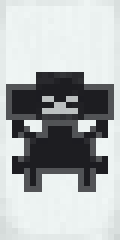Put On A Shield For A Wither Skeleton Minecraft Banner