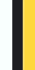 The NGO State Flag (Russian Imperial Flag)