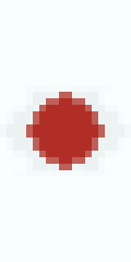 JAPANESE FLAG