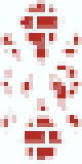 Bloody Cloth