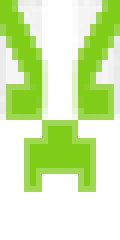 Minecraft Banner
