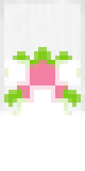 turtle with pink shell