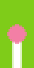 Lollipop