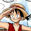 Luffy Collection