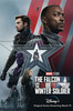 The Falcon and the Winter Soldier