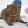 cute stuff