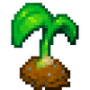 Planting Ideas