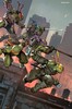 TMNT Characters