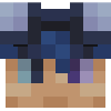 Fan Skins