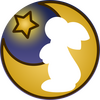 Starry's Builds and Projects