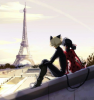 Miraculous Les aventures de Ladybug et Chat Noir