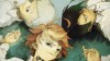 The Promised NeverLand