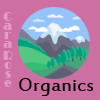 Collection Icon