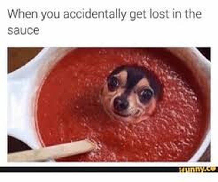 lost in the sauce