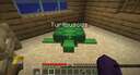 Sea Turtle Break-in Minecraft Blog