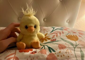 Dewie Minecraft Blog