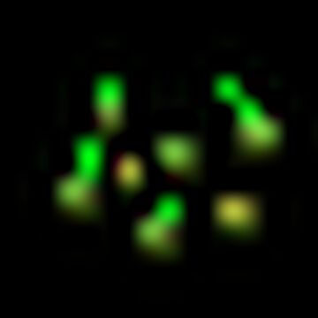 Jackpot Seeds 1.19.3 Minecraft Blog