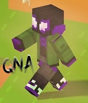 80 SUBS! NOW TIME FOR Q&A!!!!!! Minecraft Blog