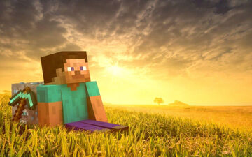 Steve Steve Minecraft Blog