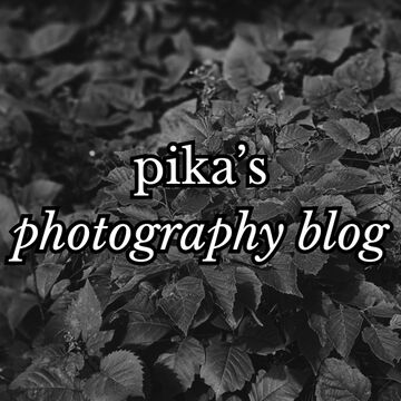 pika's Photography Blog Minecraft Blog
