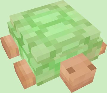 Melonpan Turtle Minecraft Blog