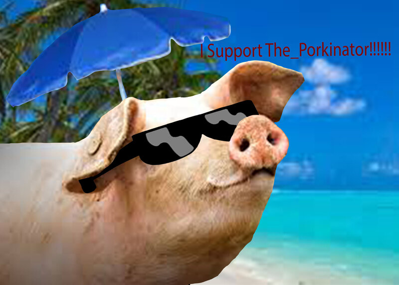 50 Sub Support Stamp