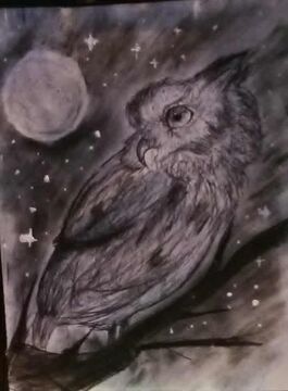 Charcoal Owl Minecraft Blog