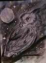 Charcoal Owl Minecraft Blog