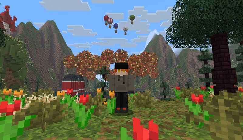 The Hot Air Balloons