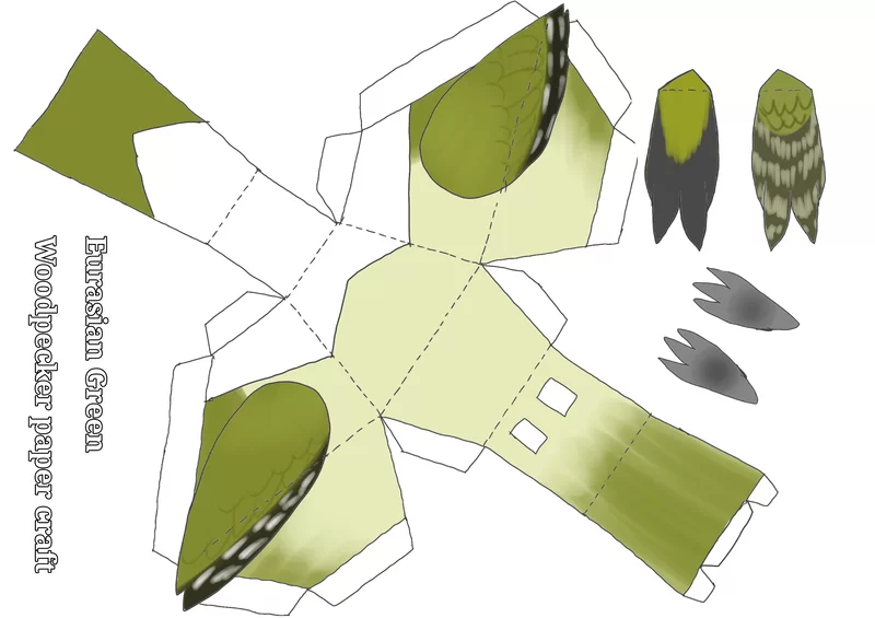 Eurasian Green Woodpecker paper craft part 1