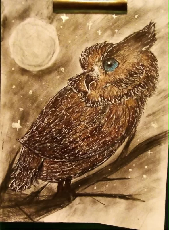 I colored the owl with Crayola