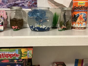 My fishy’s setup Minecraft Blog