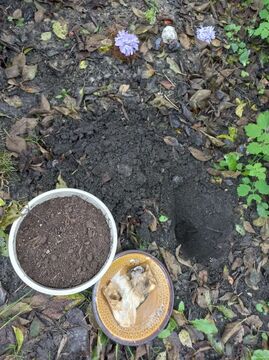 Burying the passion and hope Minecraft Blog