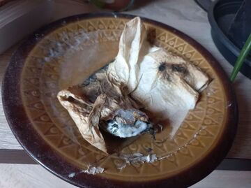 The hope... Minecraft Blog