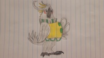 My own drawing of Nigel the Cockatoo! Minecraft Blog