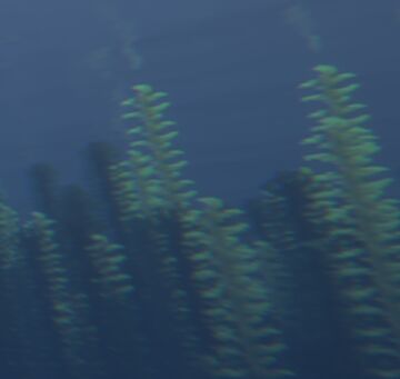 Ocean Screenshots!! (Modded) Minecraft Blog