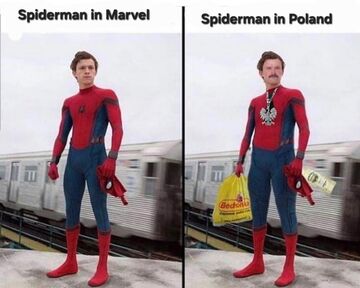 Spiderman(for jam) Minecraft Blog