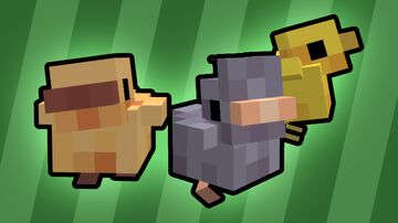 Better Baby Chicks Minecraft Blog