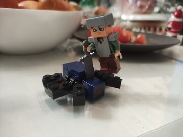 Alex destroyed the spider Minecraft Blog