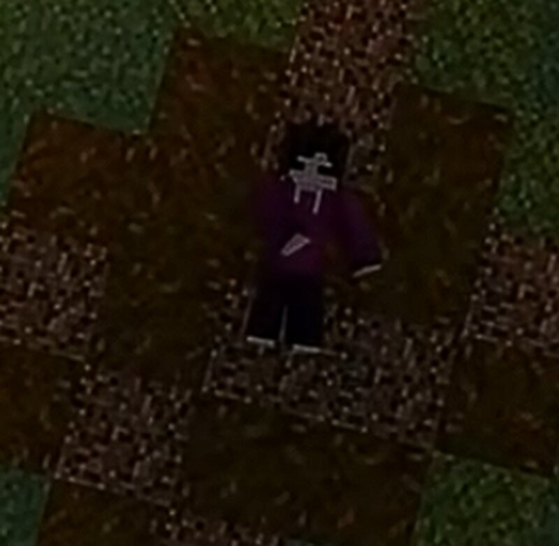 Minecraft Animations (The Forest)