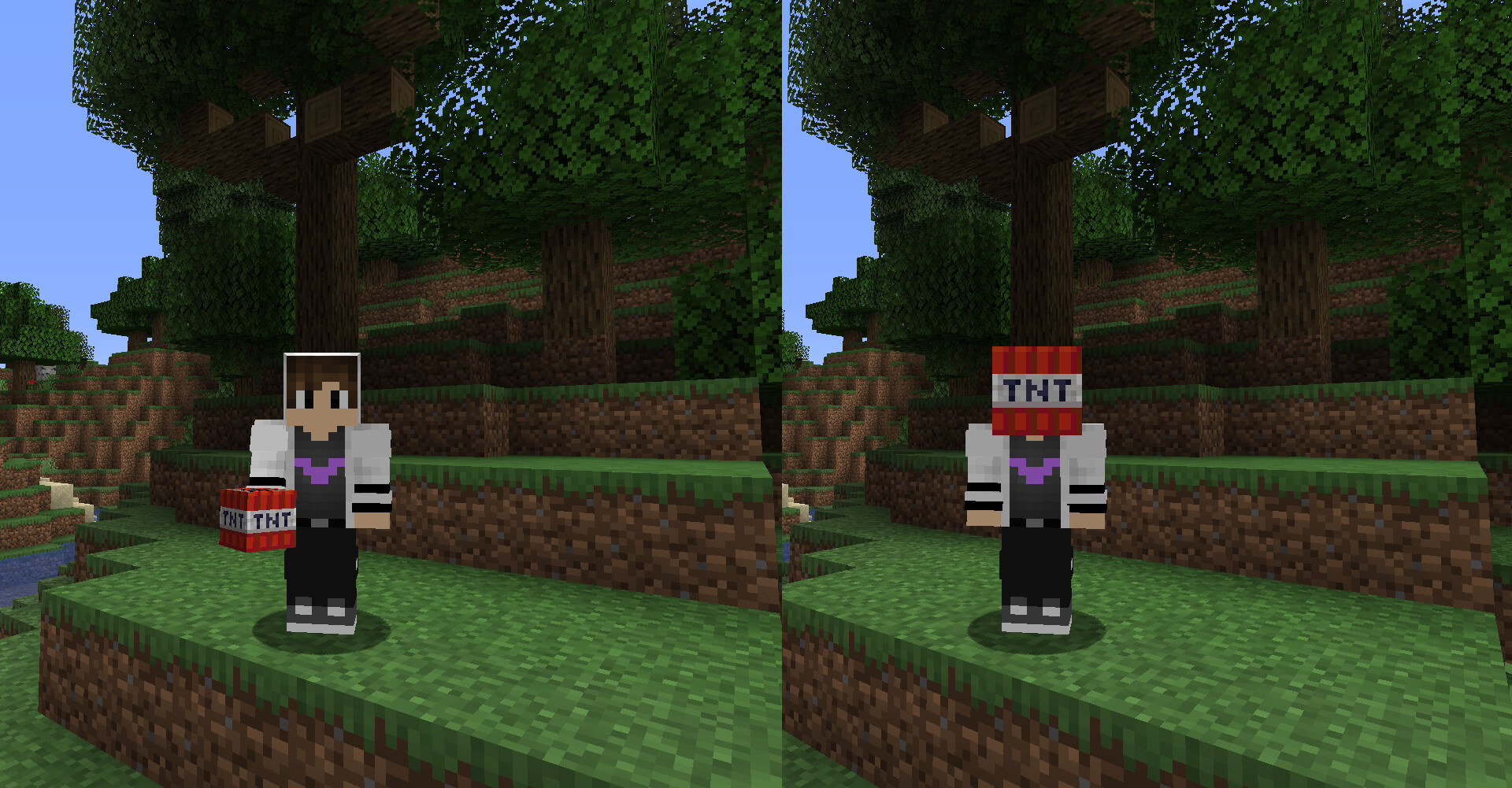 Hat Datapack PL/EN Version Minecraft Data Pack